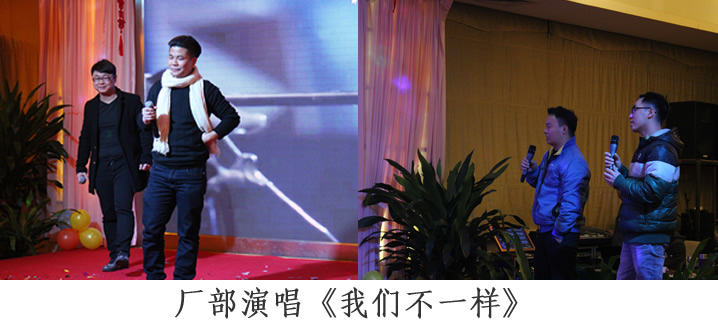 麻豆视频网站不一样 年终晚会